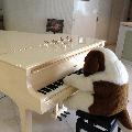 ロビーではピアノを弾く犬がお出迎え。　※自動ピアノです。
